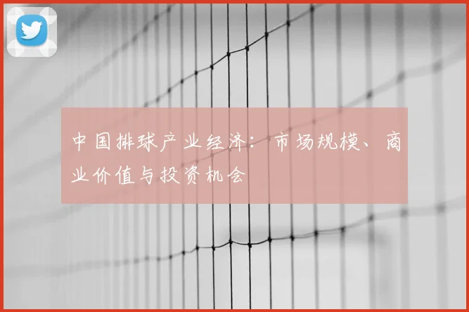 中国排球产业经济:市场规模、商业价值与投资机会