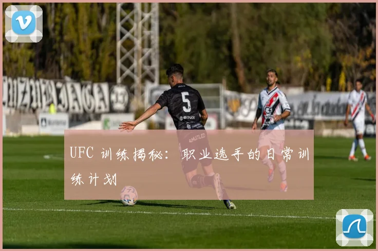 UFC 训练揭秘：职业选手的日常训练计划