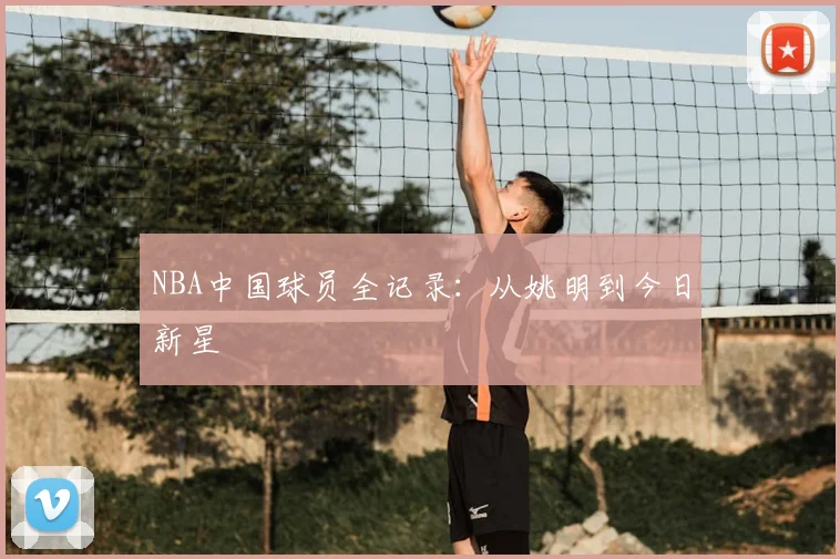 NBA中国球员全记录:从姚明到今日新星