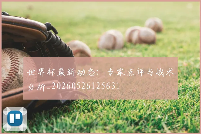 世界杯最新动态：专家点评与战术分析_20260526125631