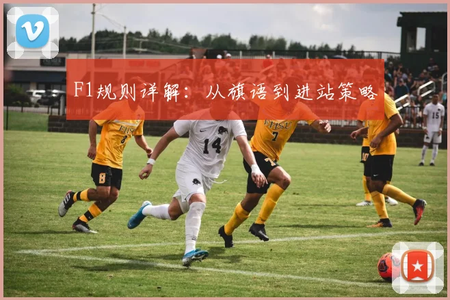 F1规则详解:从旗语到进站策略