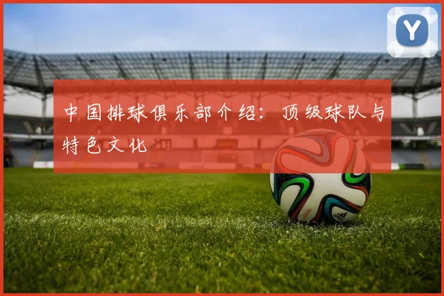 中国排球俱乐部介绍:顶级球队与特色文化