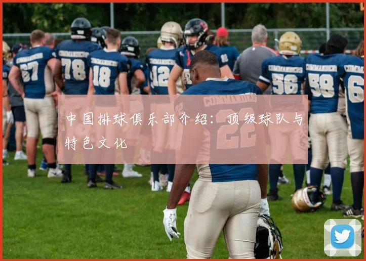 中国排球俱乐部介绍:顶级球队与特色文化